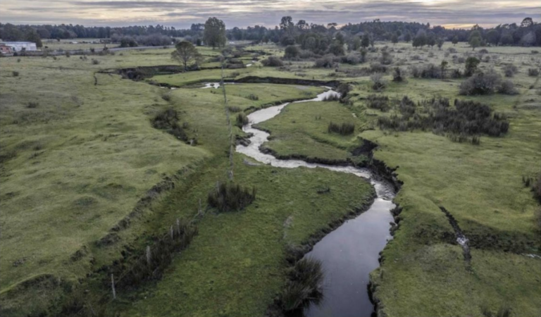 Monte Verde reafirma sus 14.500 años y vuelve a instalarse como patrimonio clave del sur de Chile