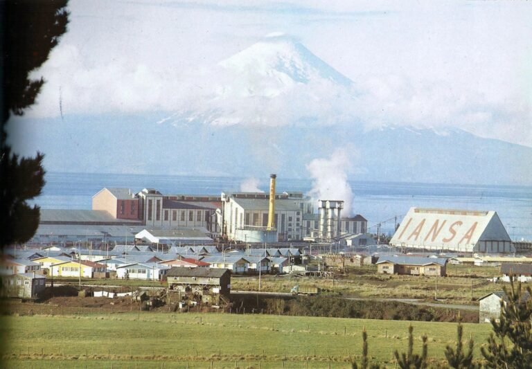 Remolacha chilena en crisis: una industria histórica queda al borde de desaparecer
